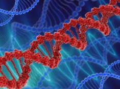科学家发现参与DNA修复的酶如何对肿瘤存活至关重要