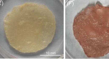 新的3D打印墨水可以使人造肉更具成本效益