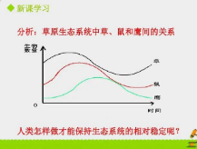 普林斯顿研究表明传粉媒介的减少如何影响整个生态系统