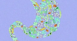 研究表明纳米材料可以通过肠道微生物组间接影响免疫系统