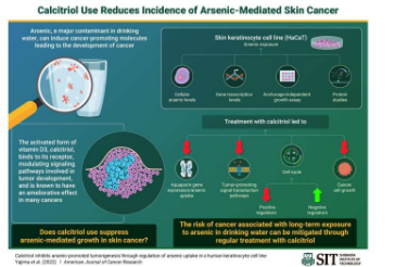 活性维生素D3治疗可降低砷介导的皮肤癌风险