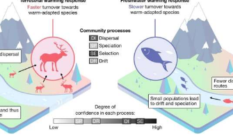 保护生物多样性的新生态方法