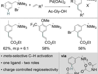 有机化学家开发新催化剂选择性激活碳氢键