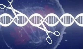 镊子解开化疗对DNA的影响