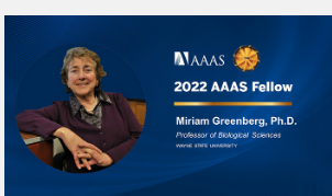 韦恩州立大学的科学家被评为AAAS研究员