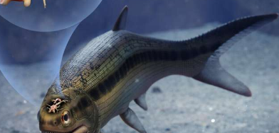 3.19亿年前的鱼类保存着最早的脊椎动物大脑化石