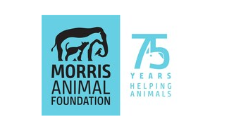 莫里斯动物基金会推出LoyalFriends月度捐助活动提供比赛机会