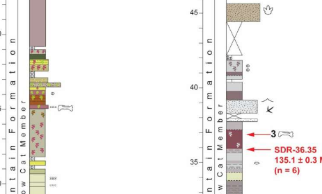 分析表明全球碳循环的早白垩世变化影响了陆地和海洋