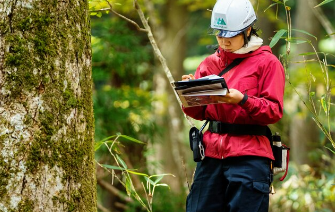 林业学位学科的学生通过实践经验学习如何管理和保护森林