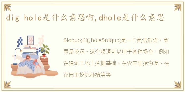 dig hole是什么意思啊,dhole是什么意思