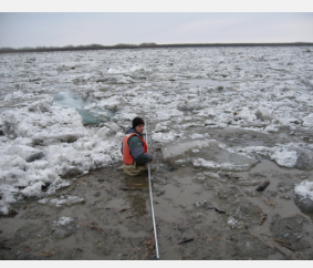 FSU研究人员发现北极河流中腐烂的生物量比以前认为的更能促进碳输出