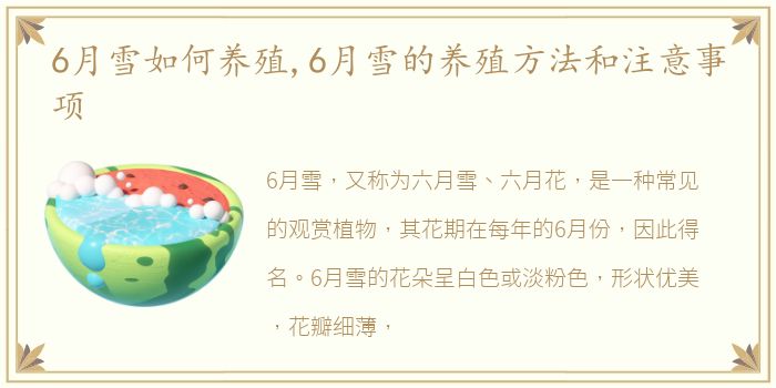 6月雪如何养殖,6月雪的养殖方法和注意事项