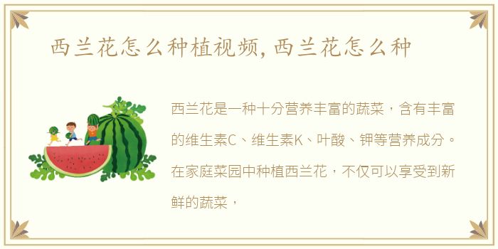 西兰花怎么种植视频,西兰花怎么种