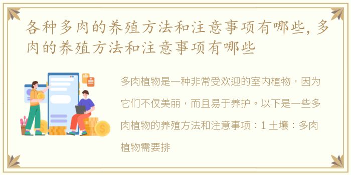 各种多肉的养殖方法和注意事项有哪些,多肉的养殖方法和注意事项有哪些