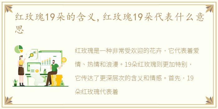 红玫瑰19朵的含义,红玫瑰19朵代表什么意思