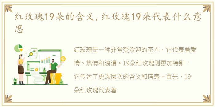 红玫瑰19朵的含义,红玫瑰19朵代表什么意思