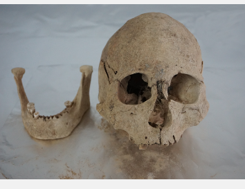 古人类基因组研究揭示青藏高原人类进化