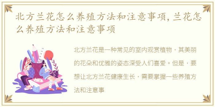 北方兰花怎么养殖方法和注意事项,兰花怎么养殖方法和注意事项