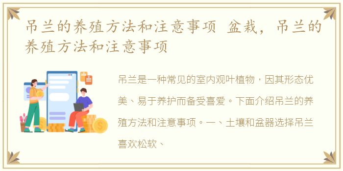 吊兰的养殖方法和注意事项 盆栽，吊兰的养殖方法和注意事项