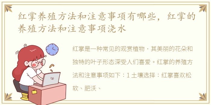 红掌养殖方法和注意事项有哪些，红掌的养殖方法和注意事项浇水