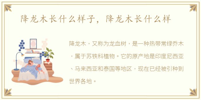 降龙木长什么样子，降龙木长什么样