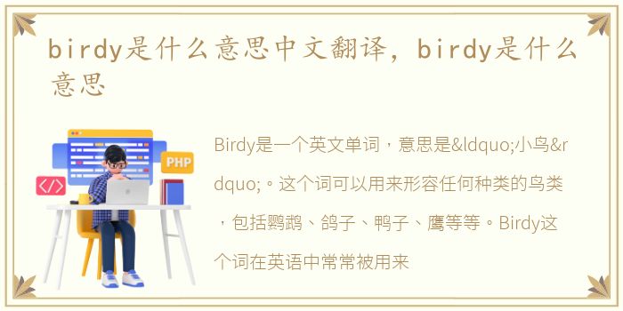 birdy是什么意思中文翻译，birdy是什么意思