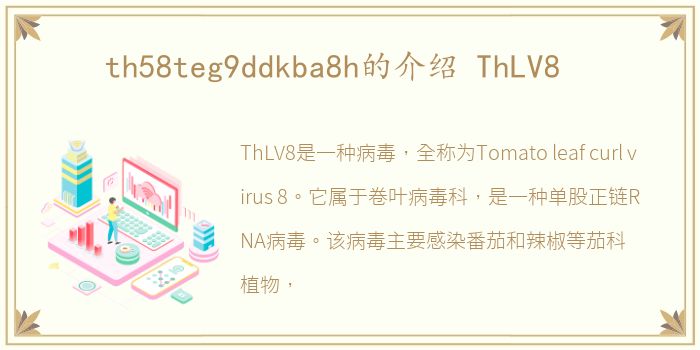 th58teg9ddkba8h的介绍 ThLV8