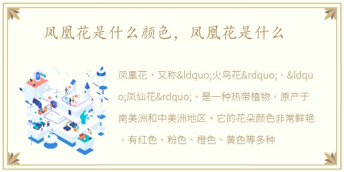凤凰花是什么颜色，凤凰花是什么