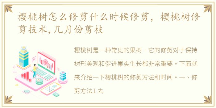 樱桃树怎么修剪什么时候修剪，樱桃树修剪技术,几月份剪枝