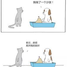 猫砂快没了不换直接加新的可以吗？ 猫砂是一直加还是彻底换