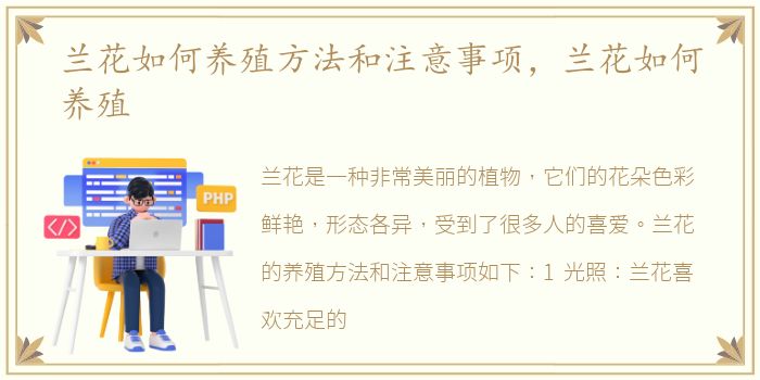 兰花如何养殖方法和注意事项，兰花如何养殖