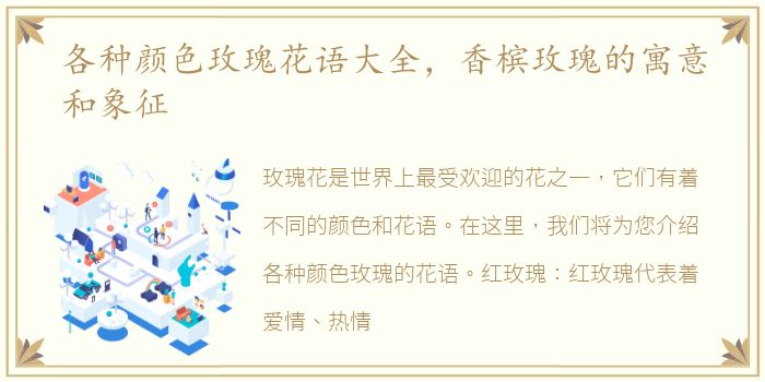 各种颜色玫瑰花语大全，香槟玫瑰的寓意和象征