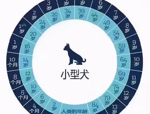 小型犬的肩高体重对照？ 中型犬体重年龄对照表