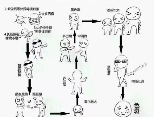 富含酪氨酸的食物有哪些？ 哪些食物含酪氨酸酶