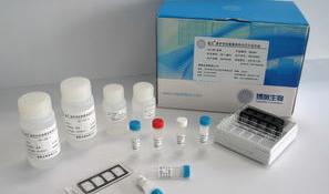 美正生物的沙门氏菌血清型分子鉴定试剂盒的检测步骤？ 沙门氏菌检测试剂盒