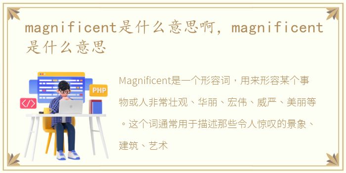 magnificent是什么意思啊，magnificent是什么意思