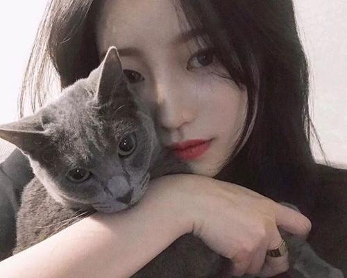 2021猫咪最新地域网名？ 猫咪地域网名入口免费