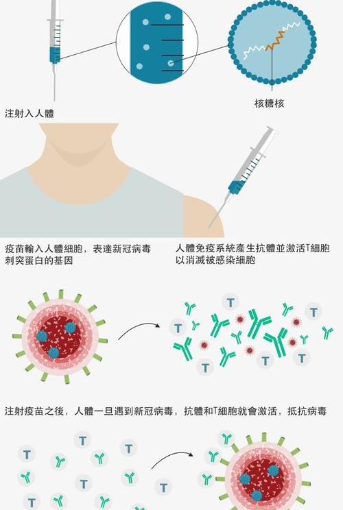 中国那些城市打的进口新冠肺炎疫苗 中国有没有mrna疫苗