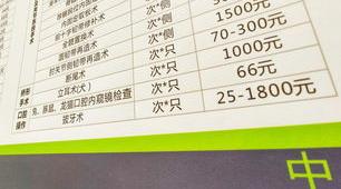 重庆哪家宠物医院好？ 重庆宠物医院收费标准
