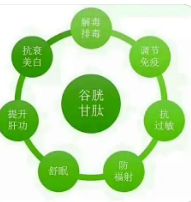 谷胱甘肽的作用和副作用
