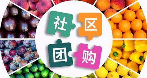 40个最适合小区的生意 宠物社区团购