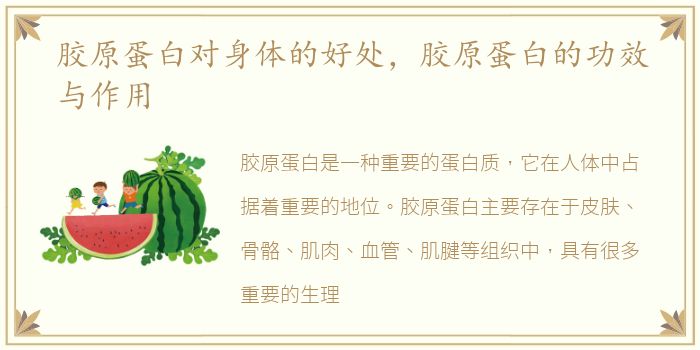 胶原蛋白对身体的好处，胶原蛋白的功效与作用