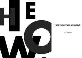 a owner还是an owner owner