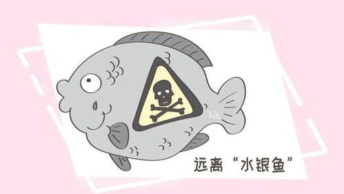 怀孕一个月吃什么鱼好？ 孕妇吃什么鱼对胎儿好