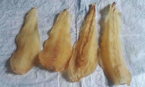 花胶的功能？ 花胶的功效与作用