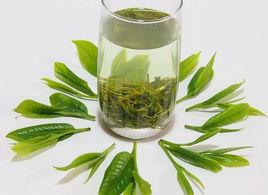 减脂茶叶排行榜第一名？ 茶叶减肥效果排名