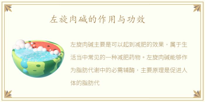 左旋肉碱的作用与功效