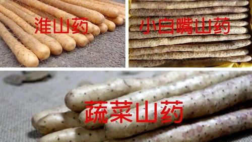 吃铁棍山药对人体有哪些益处呢？ 我坚持吃铁棍山药一年