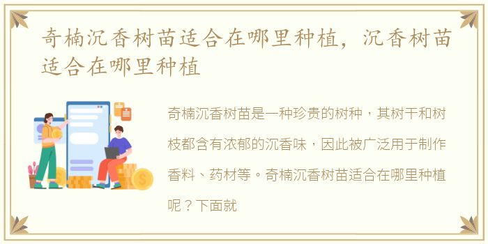 奇楠沉香树苗适合在哪里种植，沉香树苗适合在哪里种植