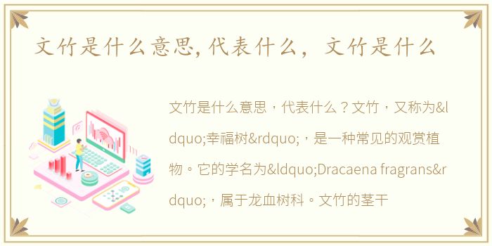 文竹是什么意思,代表什么，文竹是什么